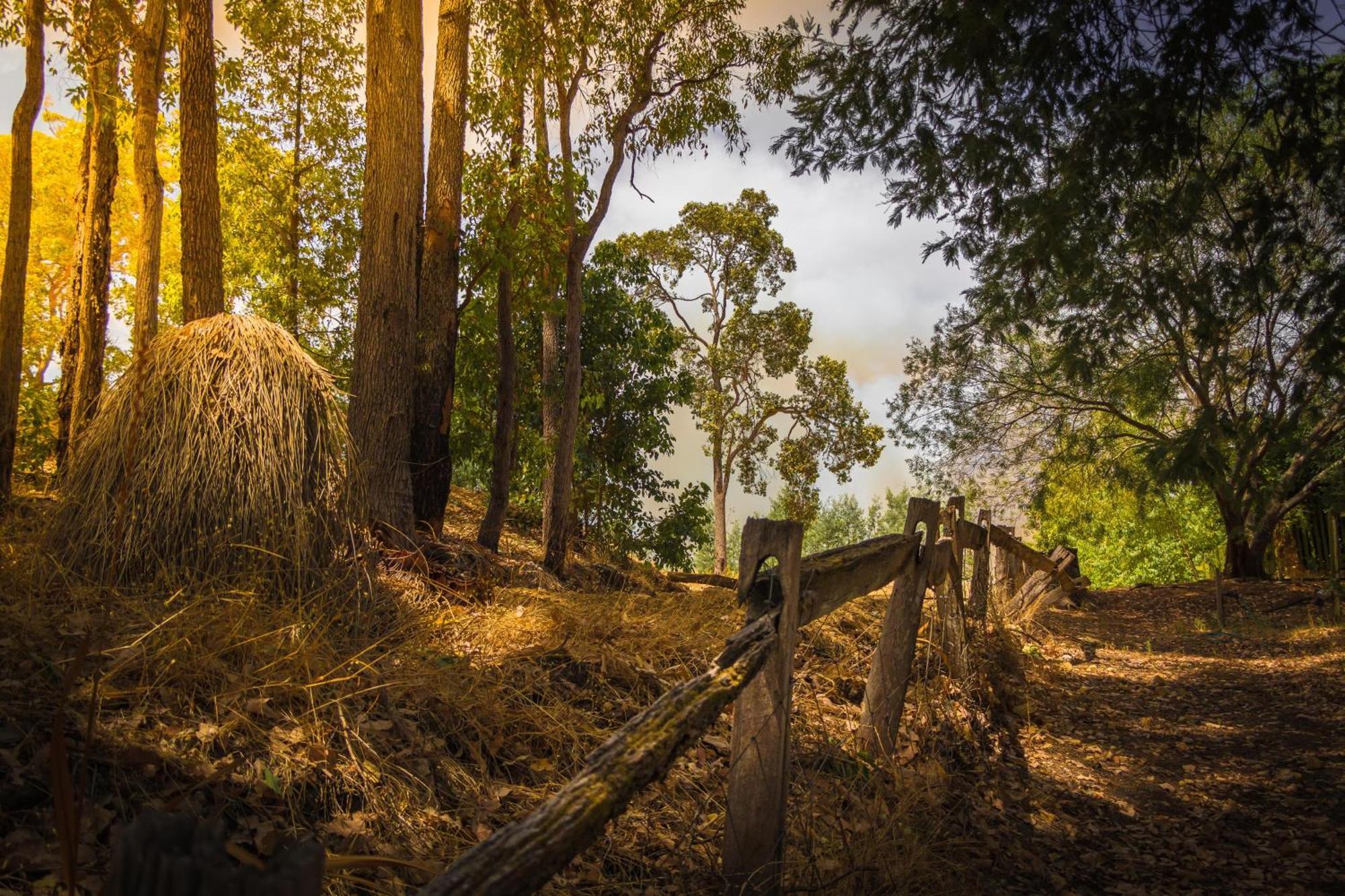 Holberry House Bed & Breakfast Nannup Exterior foto