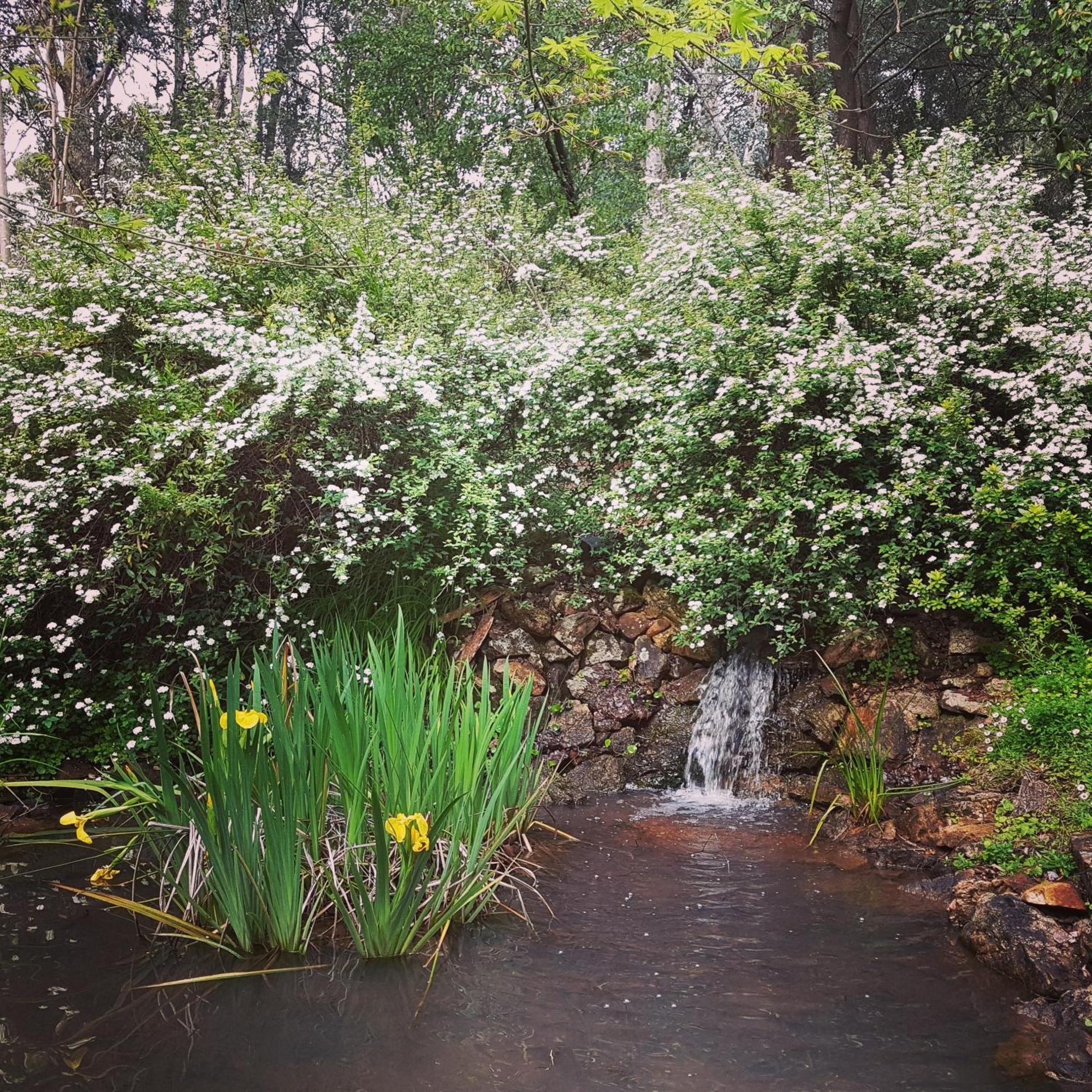 Holberry House Bed & Breakfast Nannup Exterior foto
